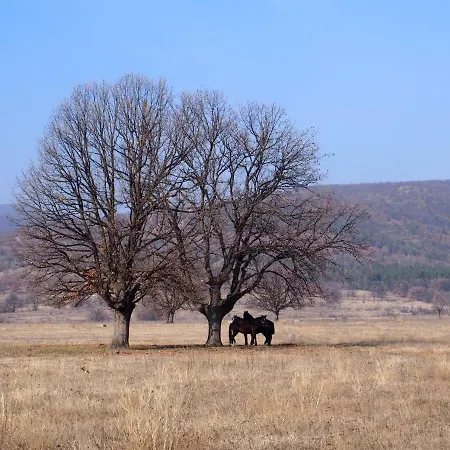 A-apartment * Krasnovo