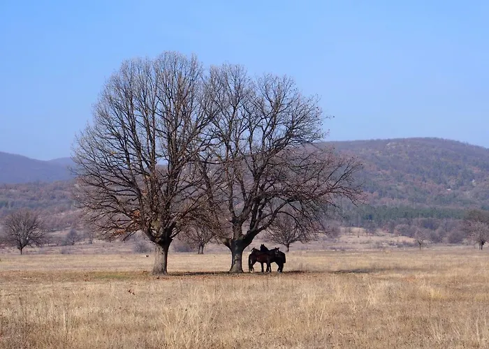 A-apartment * Krasnovo
